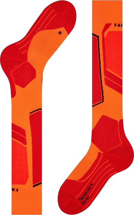 Actual product image Falke SK4 (44 - 45)