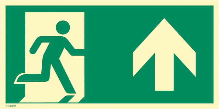 Energie-Label Moravia Rettungszeichen Notausgang Aluminium, Richtungspfeil oben 297x148 mm