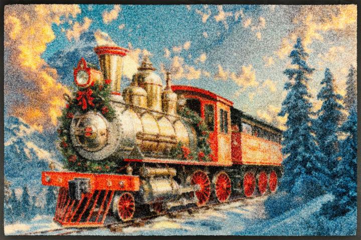 Wash + Dry Fussmatte Snow Express 50 x 75 cm (50 x 75 cm)