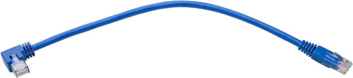 Produktbild Eaton Right-Angle Cat6 Gigabit Molded UTP Ethernet Cable RJ45 Right-Angle M to RJ45m Blue (U/UTP, CAT6, 0.31 m)