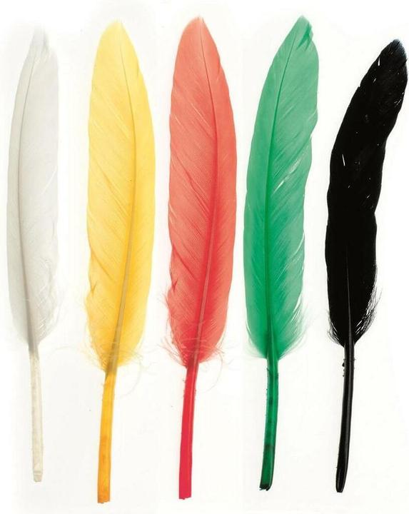Produktbild Glorex Indianerfeder