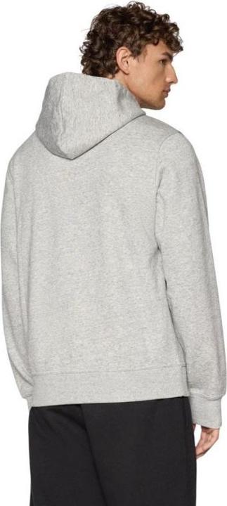 Actual product image Champion Hooded Sweatshirt (L)