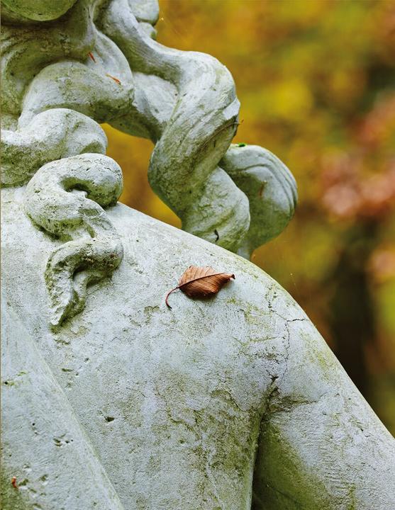 Produktbild Flora, Fauna, Gartenfreude (Deutsch, Heinz Frässdorf, Janos Stekovics, Thomas Hinsche, Thomas Weiss, 2015)