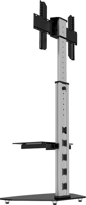 Actual product image Audioraq Home (Universal, 70", 40 kg)