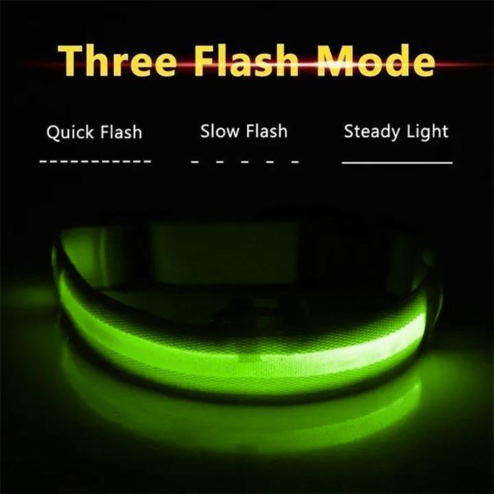 Image du produit Cbx Collier de chien à LED rechargeable taille M - 40-46cm (M, Chien)