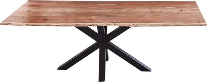 Acacia, Black, Nature