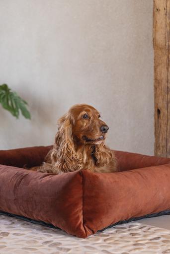 Produktbild Designed by Lotte Liegebett Ribbed (Hund)