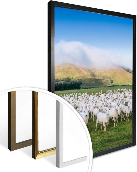 Actual product image Trenddeko Flock of sheep in New Zealand (100 x 120 cm)