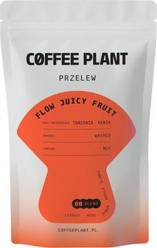 Produktbild Coffee Plant FLOW Juicy Fruit Filter (Helle Röstung)