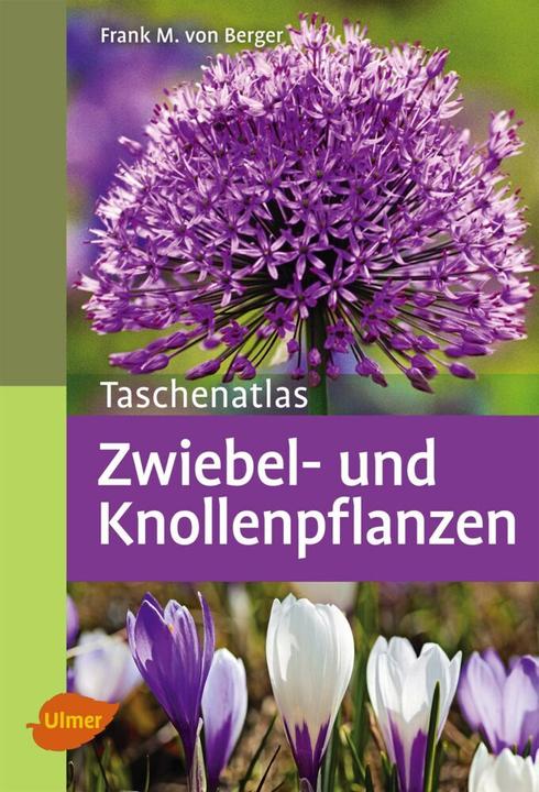 Image du produit Taschenatlas Zwiebel- und Knollenpflanzen (Allemand, Frank M. von Berger, 2014)