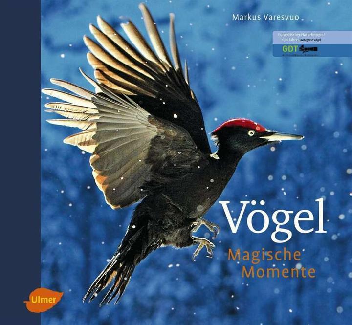 Produktbild Vögel - Magische Momente (Deutsch, Markus Varesvuo, 2012)