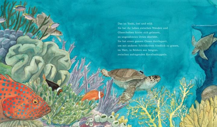 Actual product image Yoshi und das Meer (German, Johanna Ruhl, Lindsay Moore, 2023)