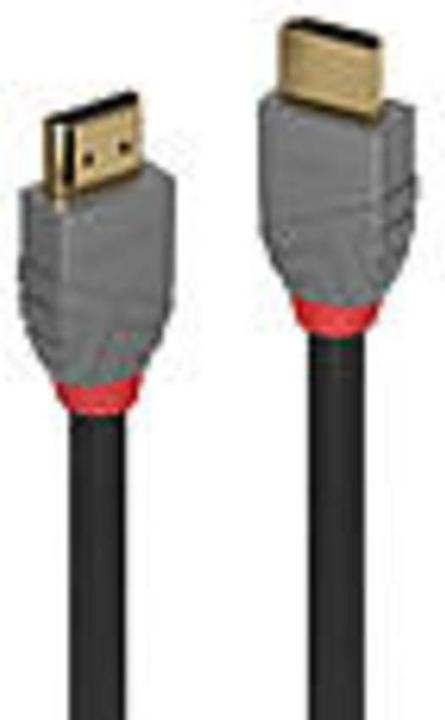 Produktbild Lindy HDMI (Typ A) — HDMI (Typ A) (0.50 m)