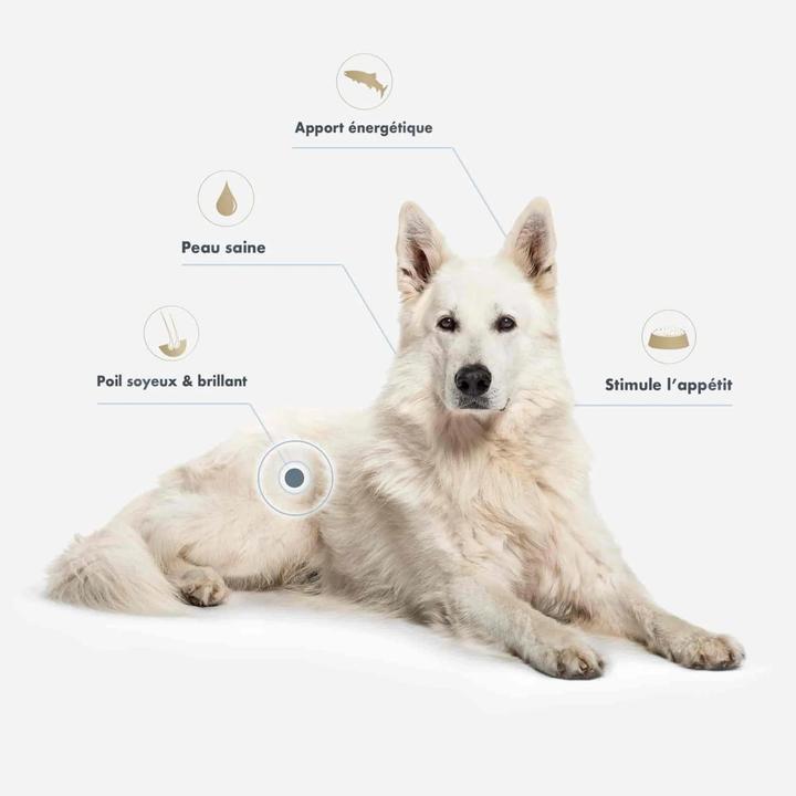 Produktbild Ultra Premium Direct Lachsöl (Adult, 500 g)