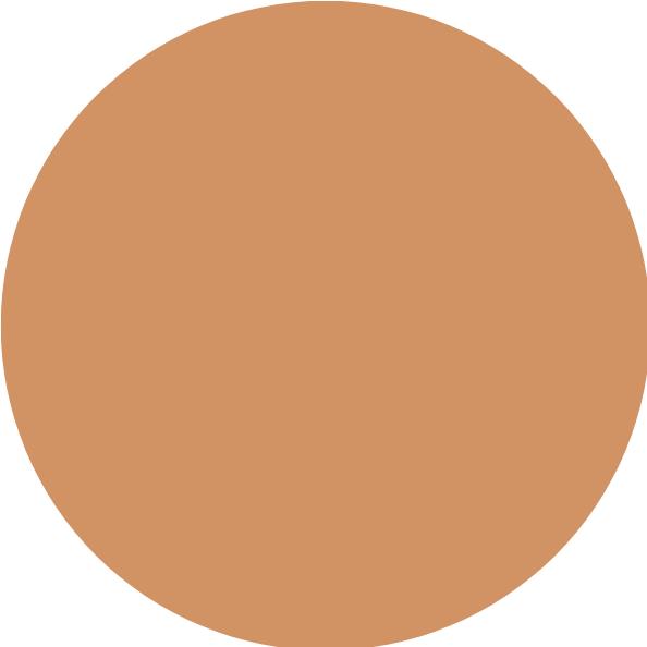 Produktbild Inika Organic Serum Foundation Medium to Full Coverage with Second Skin Feel (Purpose)