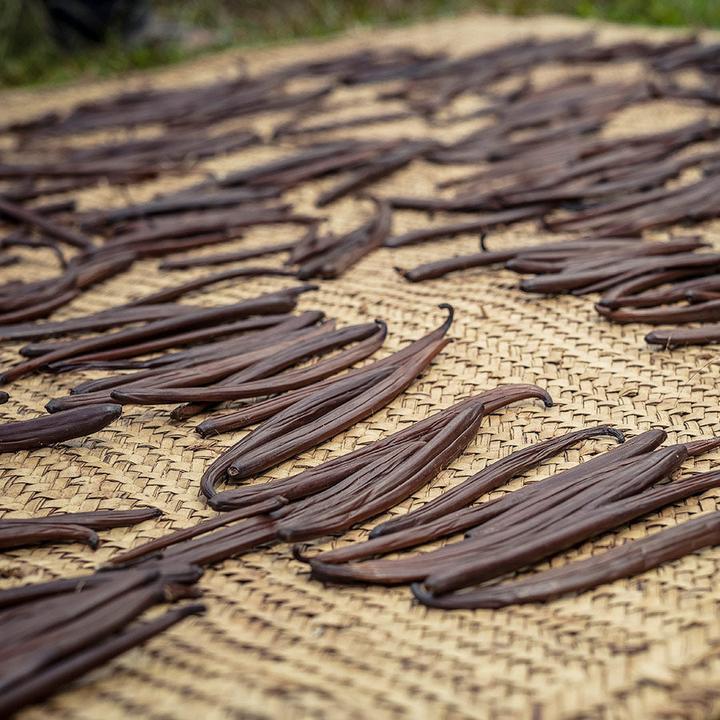 Actual product image 1001 Organic Vanilla Pods