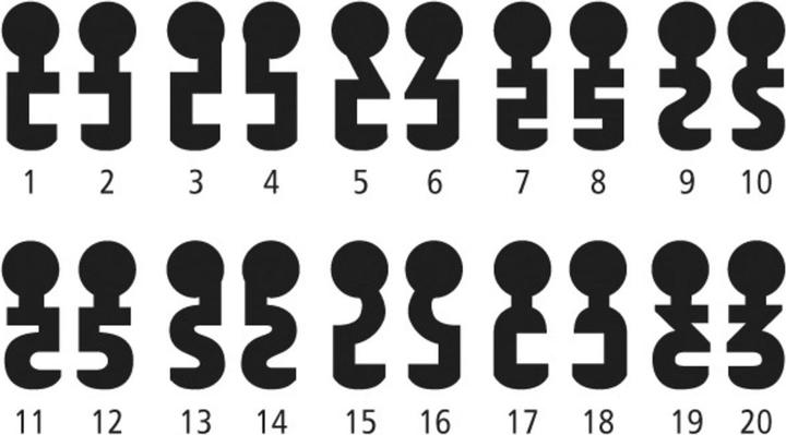 Actual product image Schänis Digit key