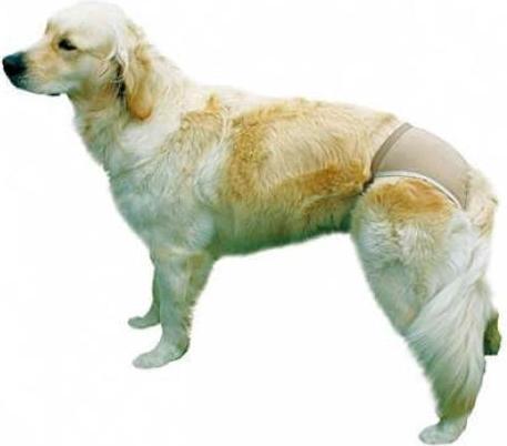Actual product image Trixie Protective panties M 40-49cm (M, Dog overalls)
