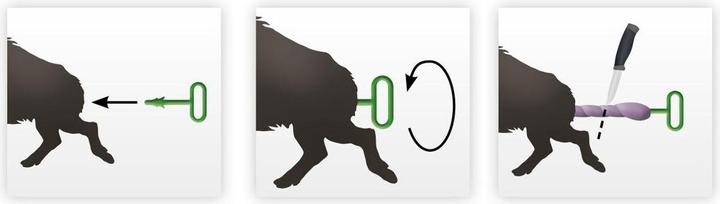 Actual product image Eurohunt Waidloch Trigger