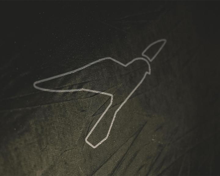 Productafbeelding Easy Camp Kuppelzelt Setesdal 4 (olivgr?n, mit Tunnel-Vorbau, Modell 2025) (4.60 kg, 4 personen)