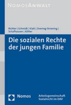 Energie-Label Die sozialen Rechte der jungen Familie (Deutsch, Bettina Schmidt, Michael Klatt, Ronald Richter, 2007)
