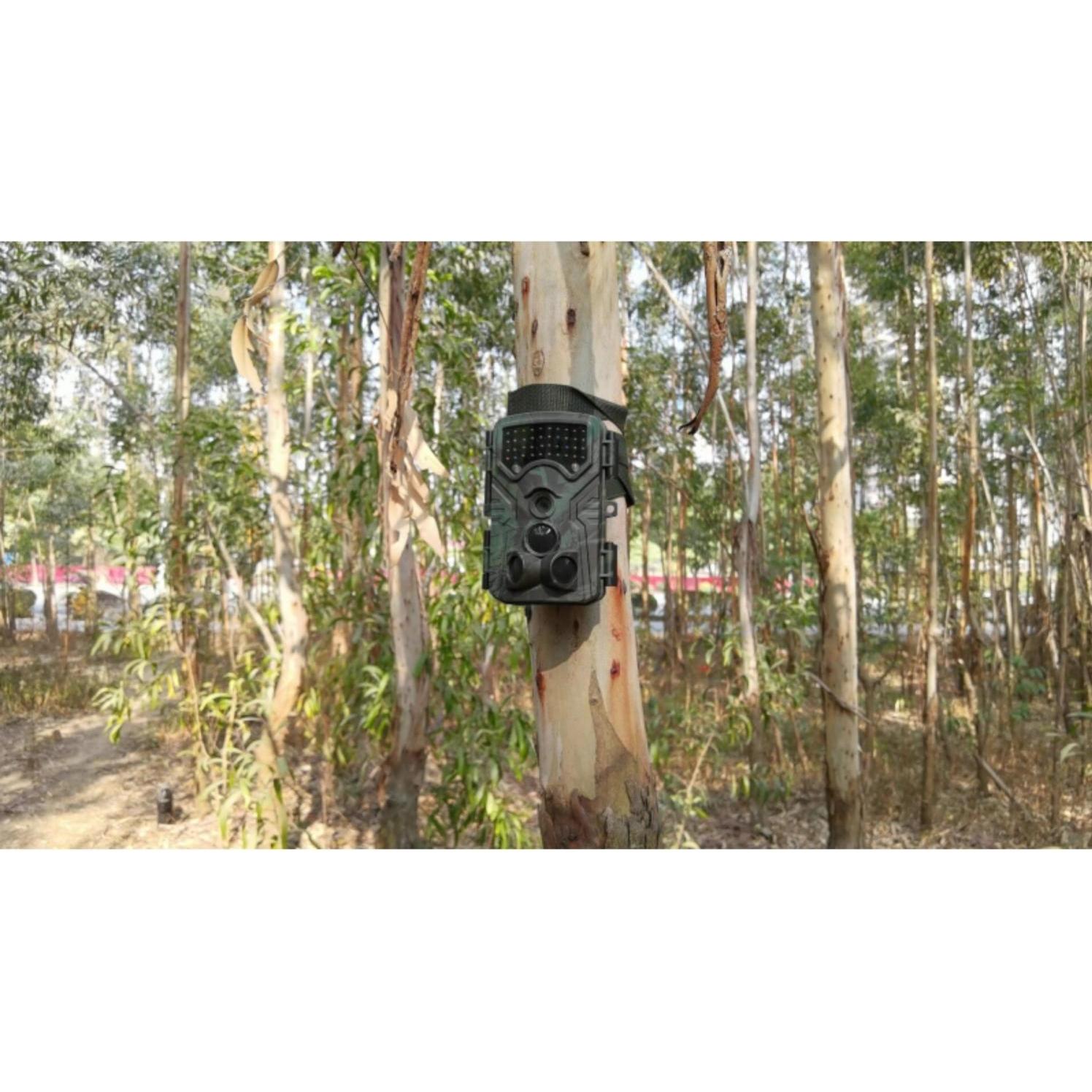 Thumbnail - Braun Photo, Wildkamera