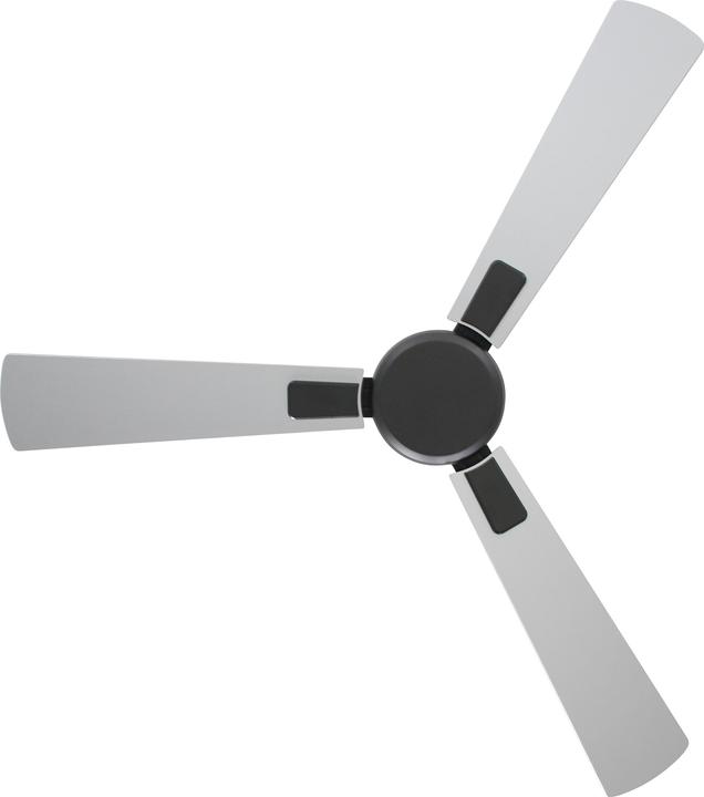 Actual product image CasaFan DC ceiling fan Eco Neo III WiFi 103 BG WN-SI (46.40 dB)