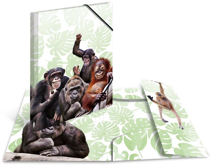 Image du produit HERMA Porte-documents A3 Motif (A3, 1x)