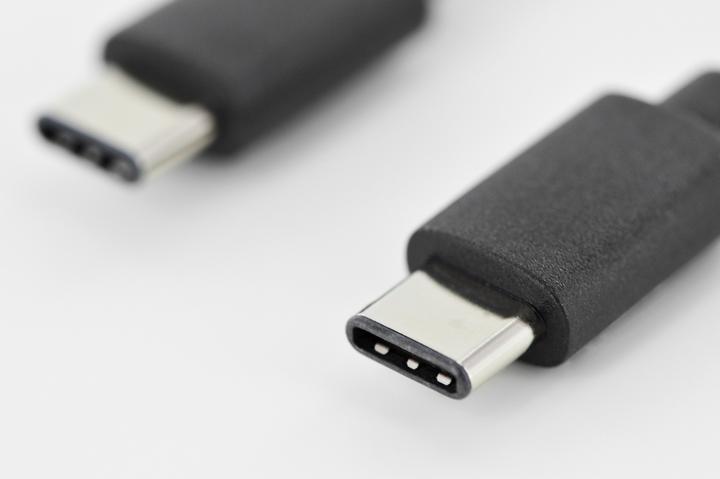 Image du produit Digitus Usb type C - USB type C (1.80 m, USB 2.0, 15 W)