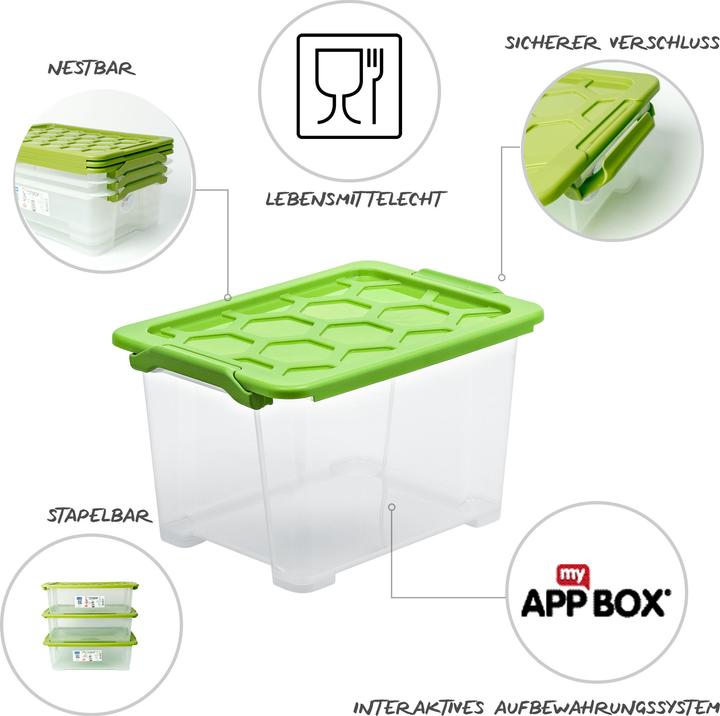 Actual product image Rotho Storage box Evo Safe (39.5 x 23 x 28.5 cm, 15 l)