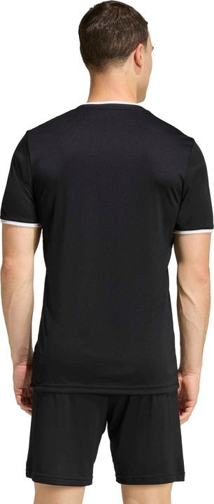 Actual product image Adidas Entrada T-Shirt (XL)