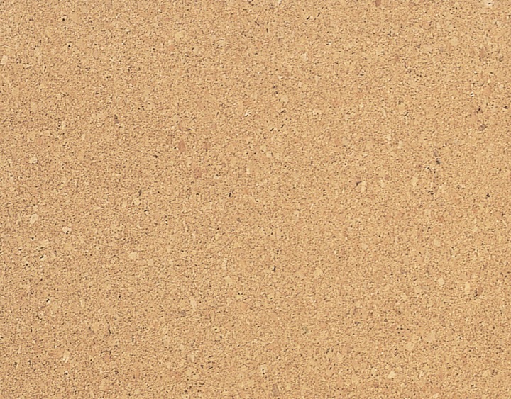Actual product image Magnetoplan Corkboard SP (Bulletin board, 60 x 45 cm)