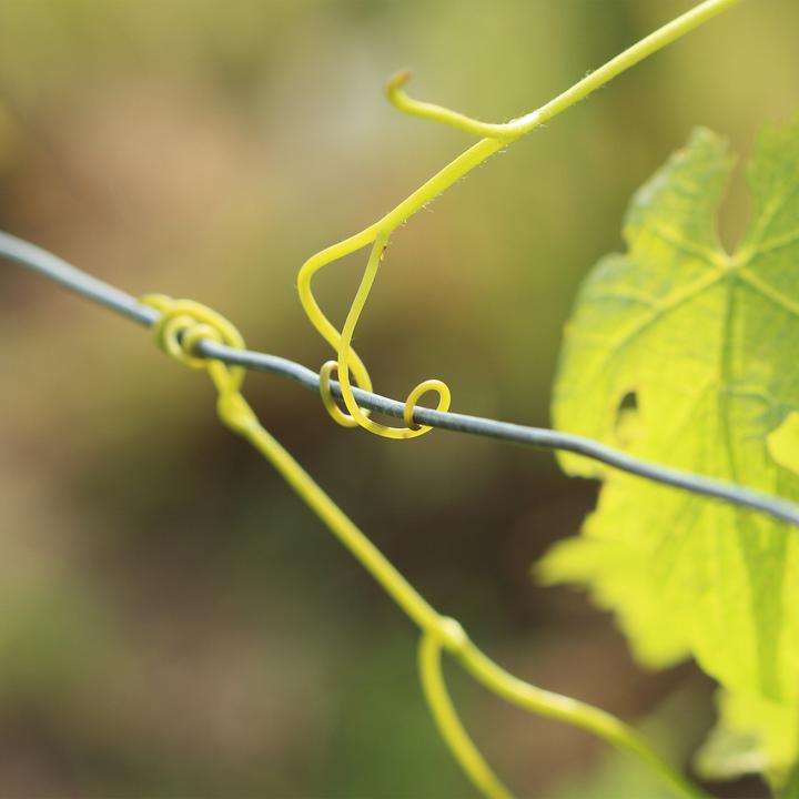 Produktbild Relaxdays 3er Bindedrah (0.10 m)