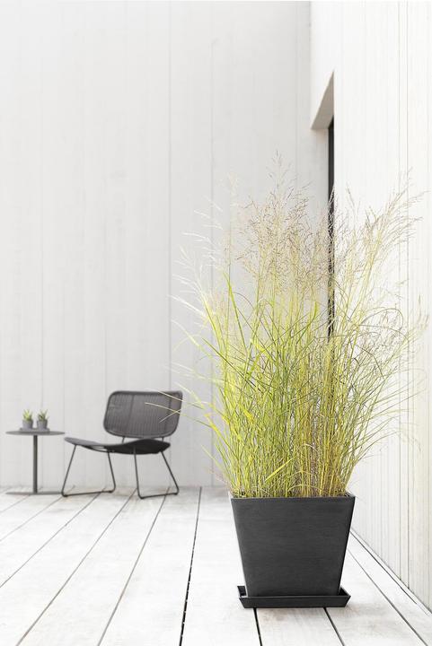 Immagine prodotto Ecopots Rotterdam (40 cm)