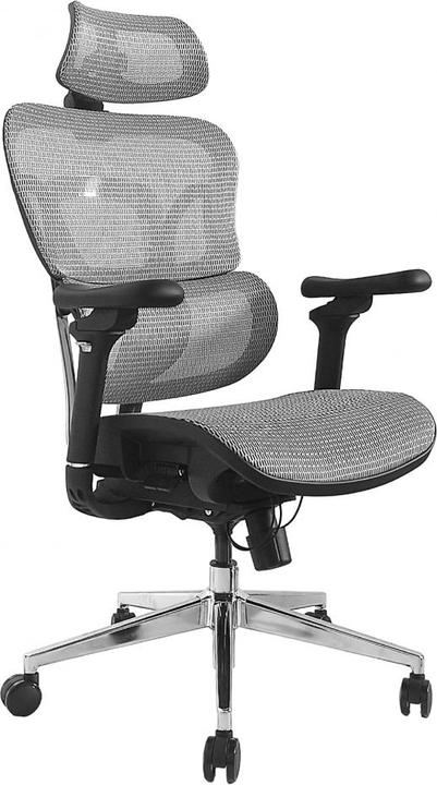 Actual product image equip Ergonomic office chair with head and armrests gr