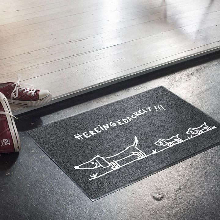 Immagine prodotto Salonloewe Quiingedackelt Famiglia di bassotti 50x75 (50 x 75 cm)