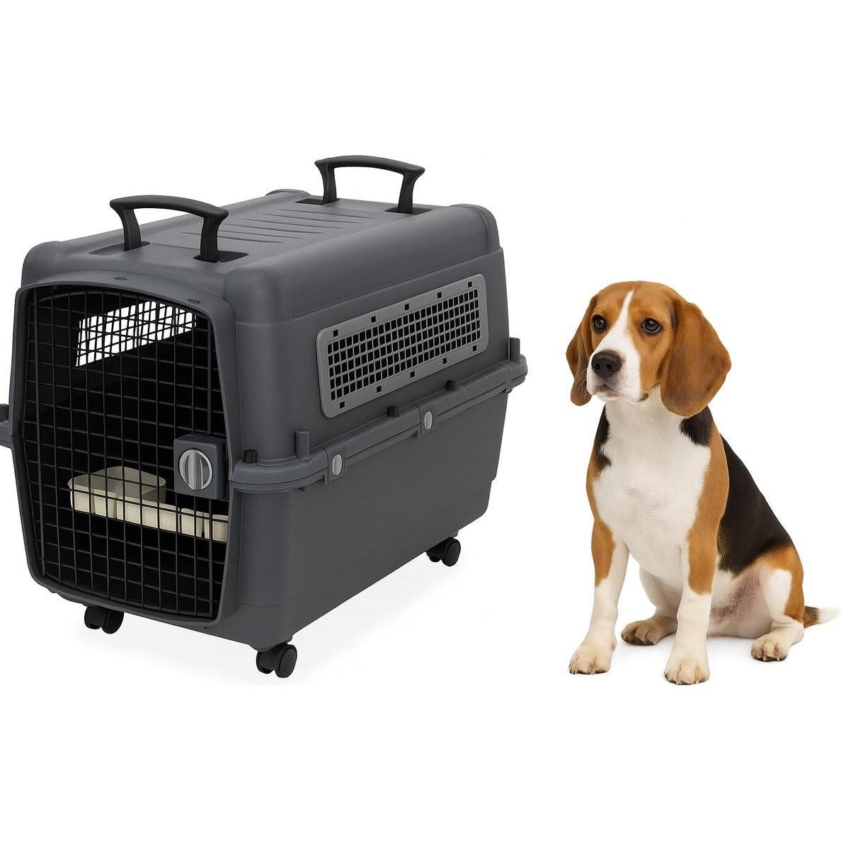Meilleurs prix pour Flamingo Banc de voyage pour chien (Chien), Transport d'animaux