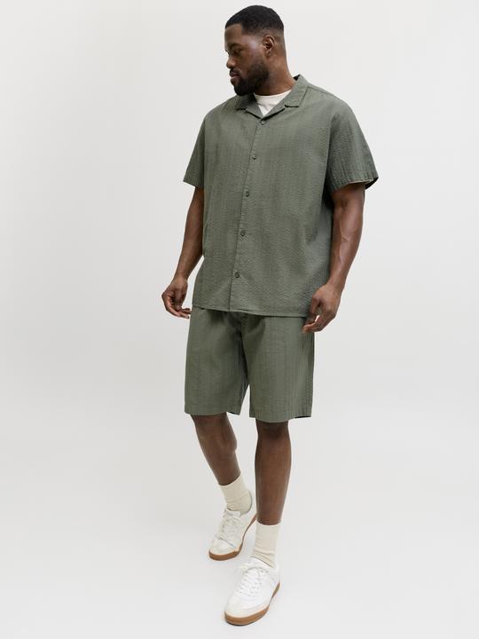 Image du produit Jack & Jones Jpstjaiden Tyson Jogger Short Pls (38)