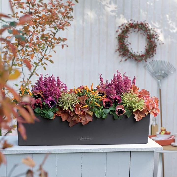 Produktbild Lechuza Balconera Color 80 (79 cm)