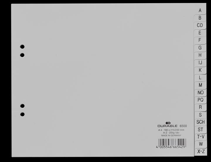 Productafbeelding Durable Registreer PP