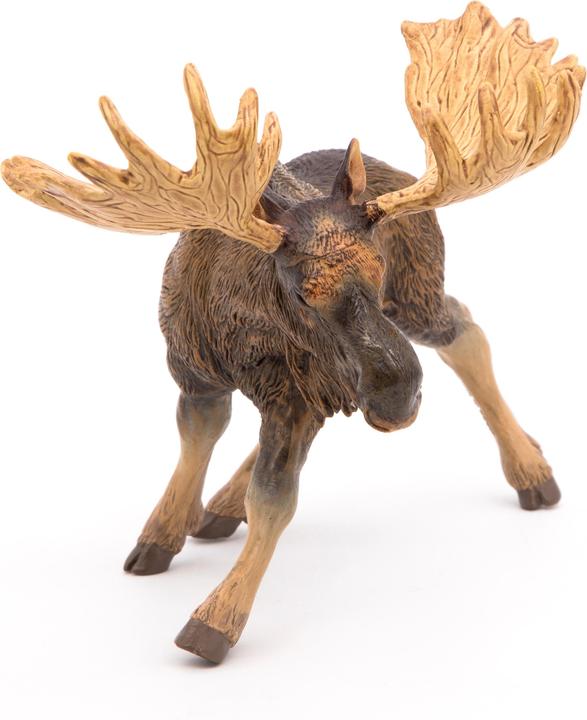 Actual product image Papo Moose