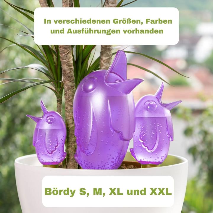 Actual product image Scheurich Water dispenser Bördy XL | 2 x purple | 220ml filling capacity | Watering ball large with clay base (Irrigation balls)