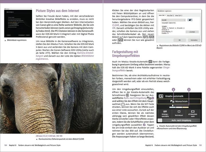 Produktbild Canon EOS 6D Mark 2 - Für bessere Fotos von Anfang an! (Deutsch, Christian Sänger, Kyra Sänger, 2018)