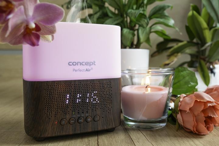 Produktbild Concept Dyfuzor zapachu Perfect Air Dark Wood DF2011