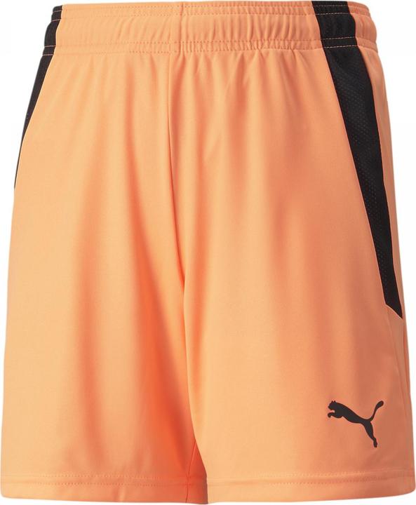 Actual product image Puma teamLIGA Shorts Jr-704931 (116)