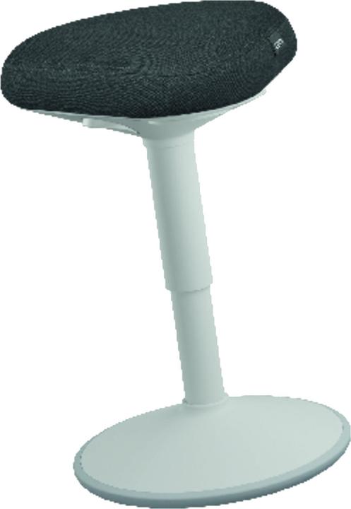Leitz Ergo Active
