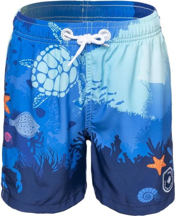 Image du produit Aquawave Bali Junior Shorts (134)