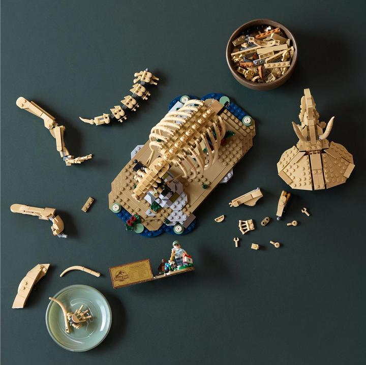 Produktbild LEGO Dinosaurier-Fossilien: Triceratops (77985, LEGO Jurassic World)