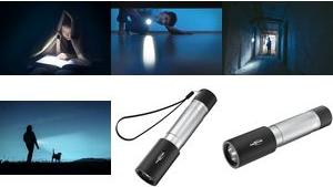 Actual product image Ansmann LED torch Daily Use 300B incl.2xBaby C (16.70 cm, 315 lm)
