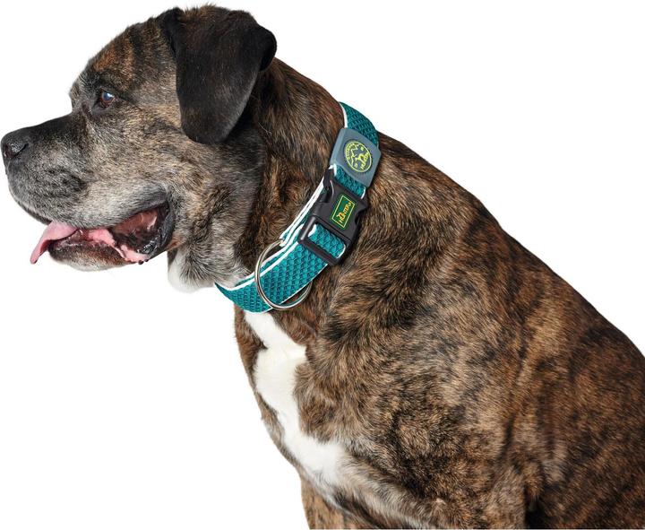 Immagine prodotto Hunter Collare per cani Hilo Vario Plus (L, XL, Cane, Sport cane)
